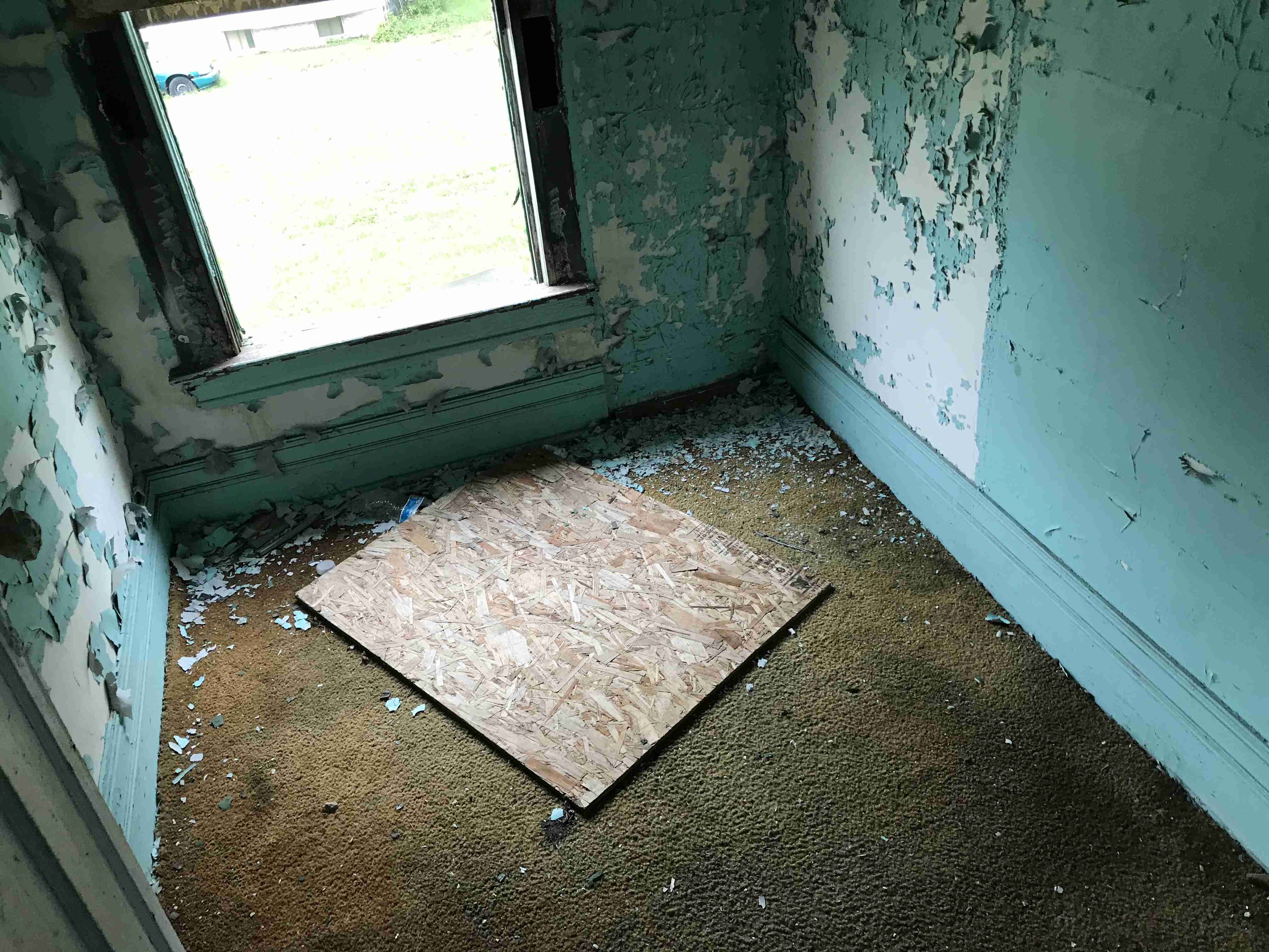 Photo Sep 09, 12 18 14 PM.jpg